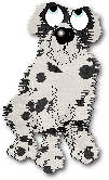 Bandit