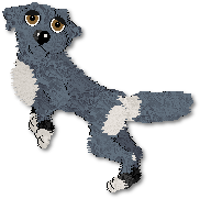 Blueberry