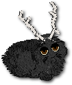 BunBun