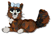 Caithe