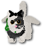 Cattine