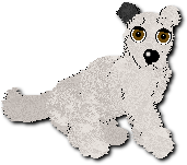 Cottonball