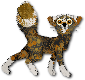 Endora