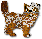 Gingersnap
