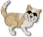 Gus