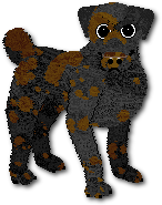 Hugo