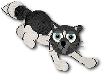 Klaus
