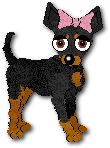 Lupercus