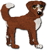 Marco