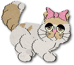 Miyani