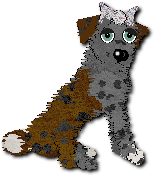 Mocha