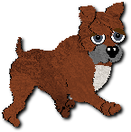 Moose