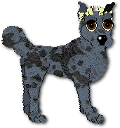 Nikita