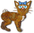 Nutmeg
