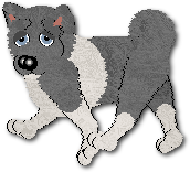 Oli