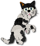Otto
