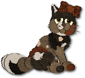 Patches