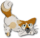 Pokey