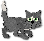 Ringo