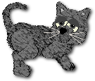 Sammy