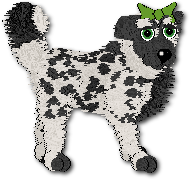 Shasta