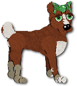 Soozi