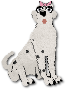 Speckle