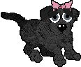 Cora