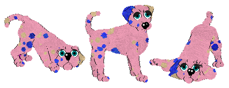 Silly Spots