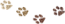 Paw prints clue