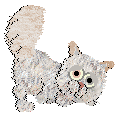 Simon