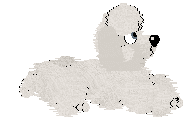 Gwendolyn