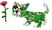 Lily entry